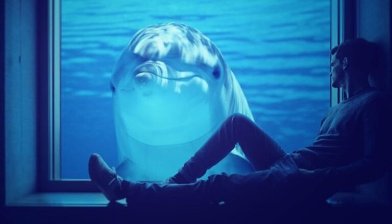Can You Have A Pet Dolphin? (3 Reasons Why You Shouldn’T)