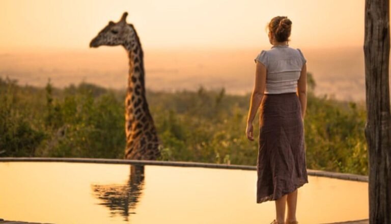 Can You Have a Pet Giraffe? 4 Reasons Why You Shouldn’T