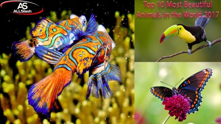 Top 10 Most Beautiful And Majestic Animals (With Pictures)