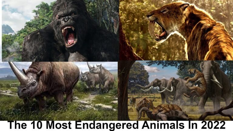 The 10 Most Endangered Animals in 2022