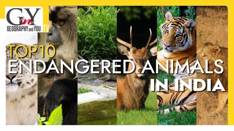Top 10 Most Endangered Animals in India