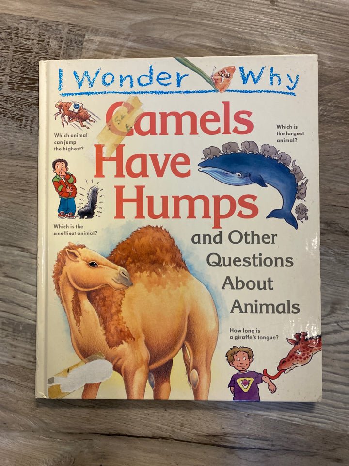 Can Camels Jump? (Myth Or Truth?)