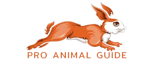 Pro Animal Guide
