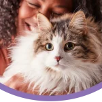 Pet Insurance Plans for Cats