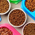 Where to Buy Pet Food